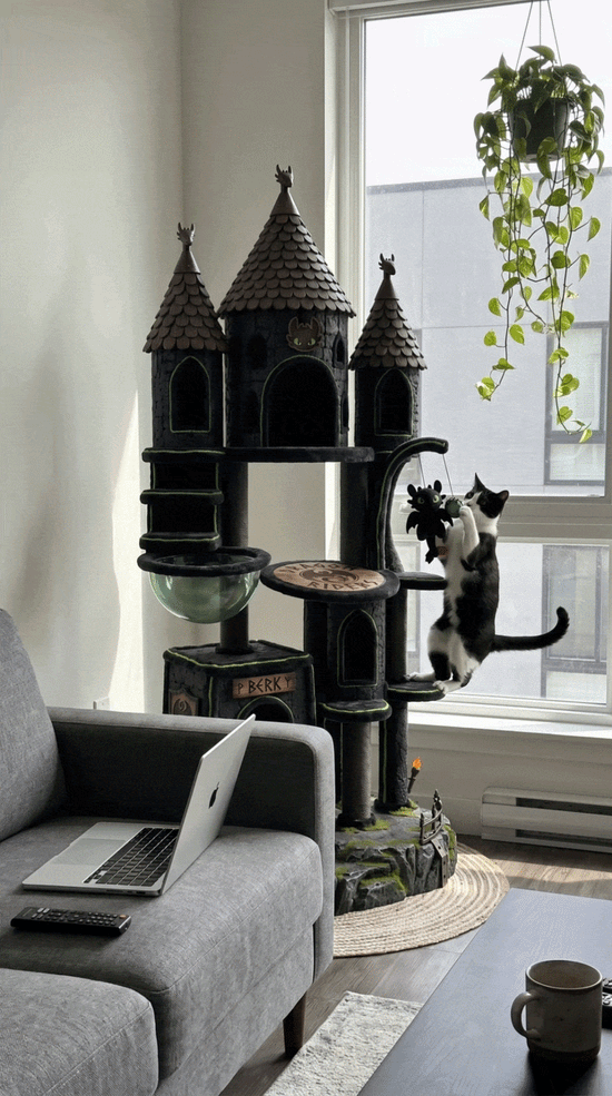 Cat tower animation 2